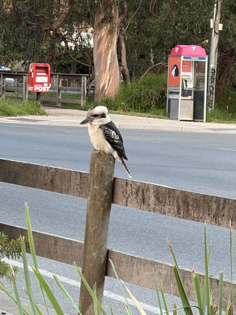 messenger creation 38f28d62 9f8a 4f85 93d9 c29912af2540