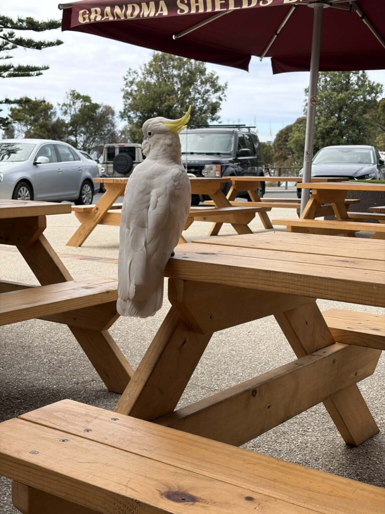 messenger creation 59af5f5f b672 411a 864b 3ae75ccddea4