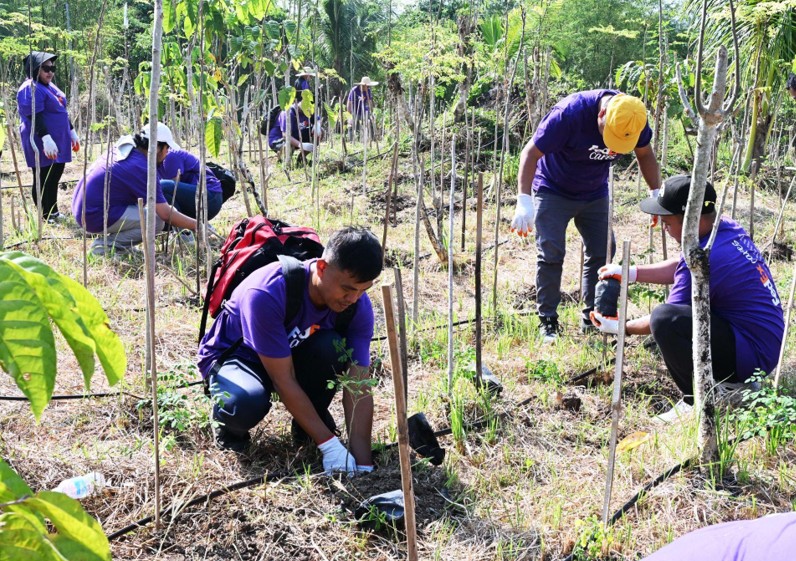 kv fedex cares x greenearth 2