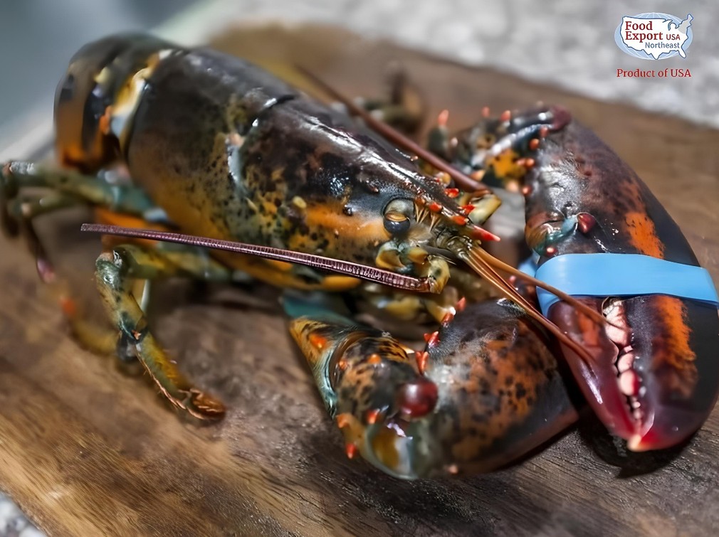 Savor American Lobster at Mamou: An Exclusive Month-Long Feast mamou 3